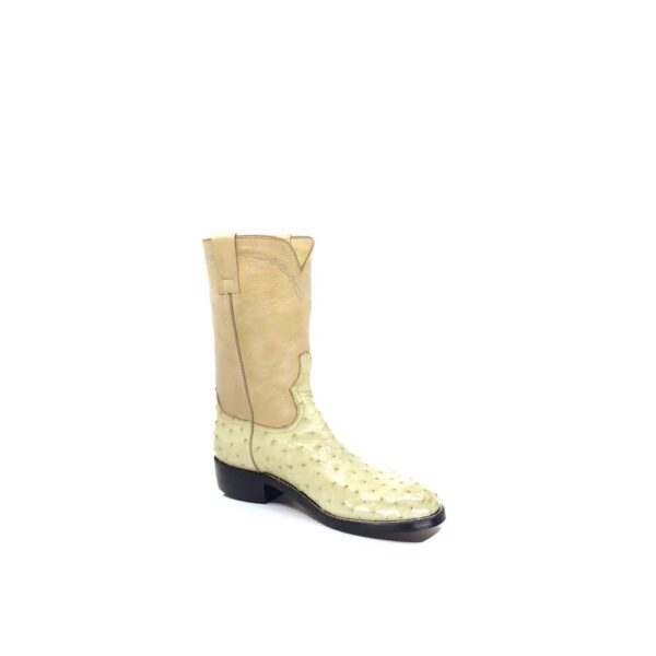 Women's Bone Full Quill Ostrich