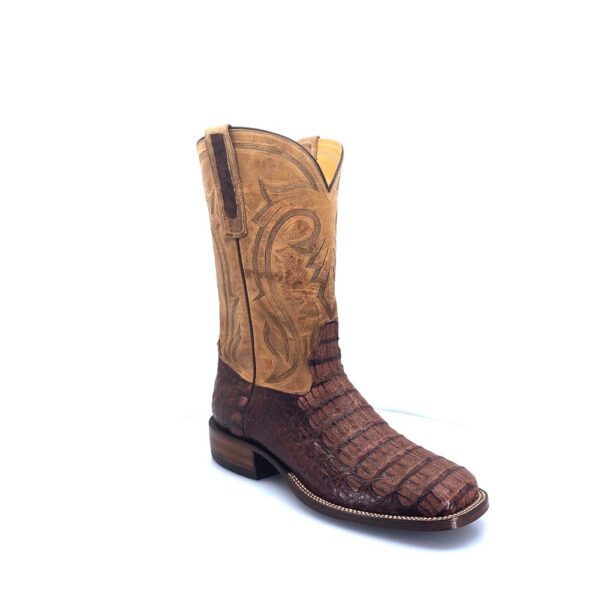 Men's Amerrato Caiman Hornback
