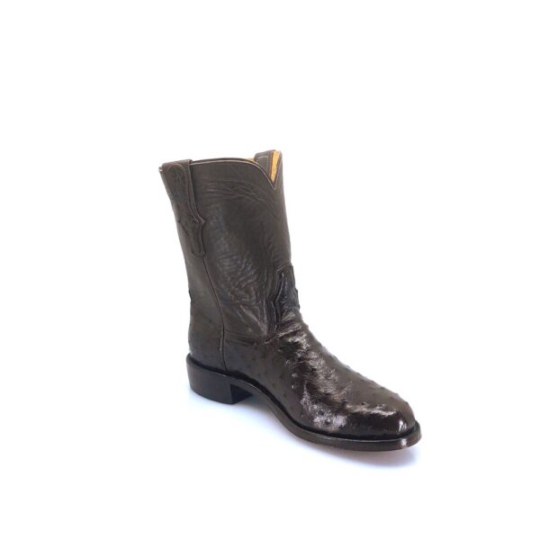 Men's Nicotine Full Quill Ostrich