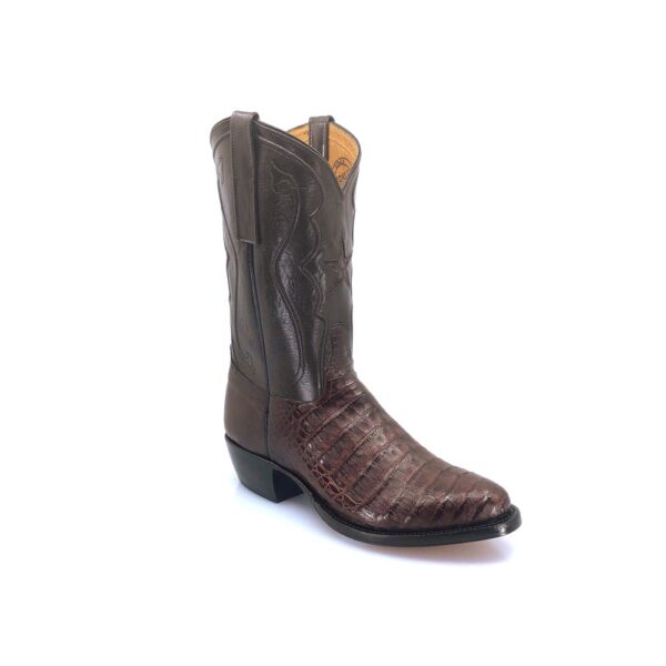 Men's Burnished Brown Caiman Belly