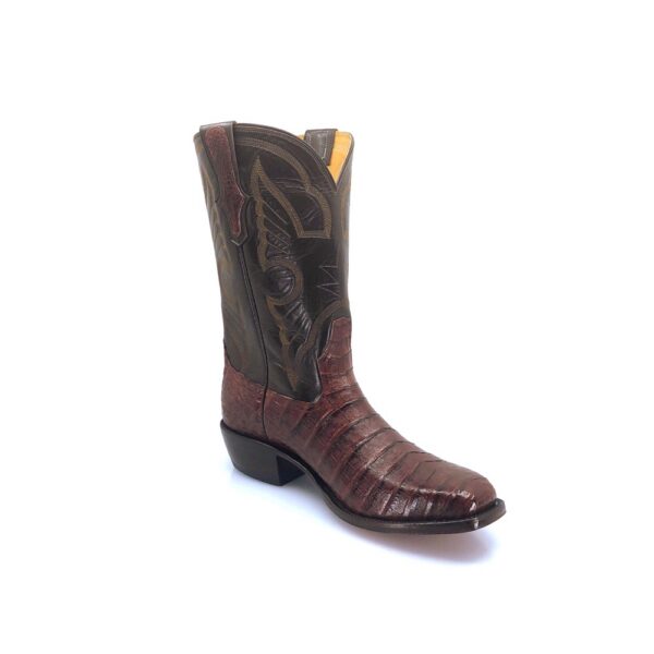 Men's Chocolate Brown Caiman Belly