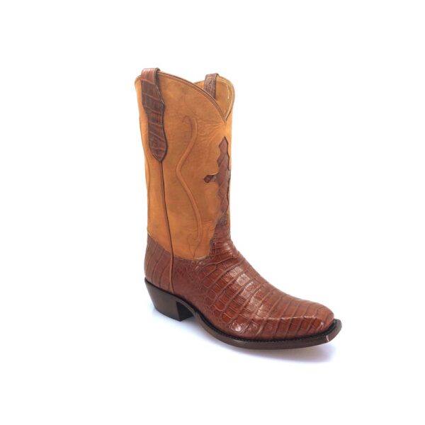 Men's Brandy Caiman Belly