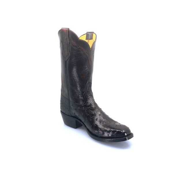 Mens Black Cherry Full Quill Ostrich