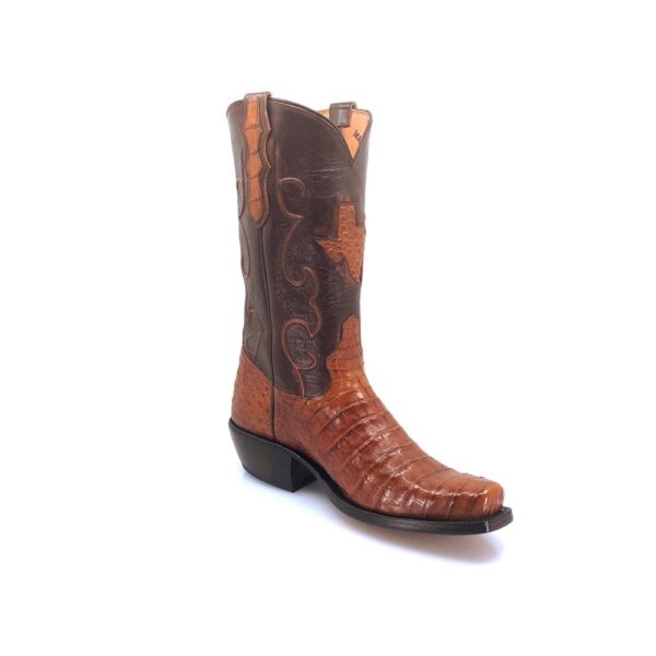 Men's Brandy Caiman Belly