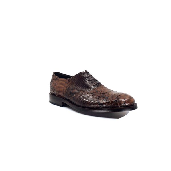 Plain Toe Burnished Brown Python Oxford