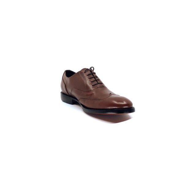 Wingtip Oxford
