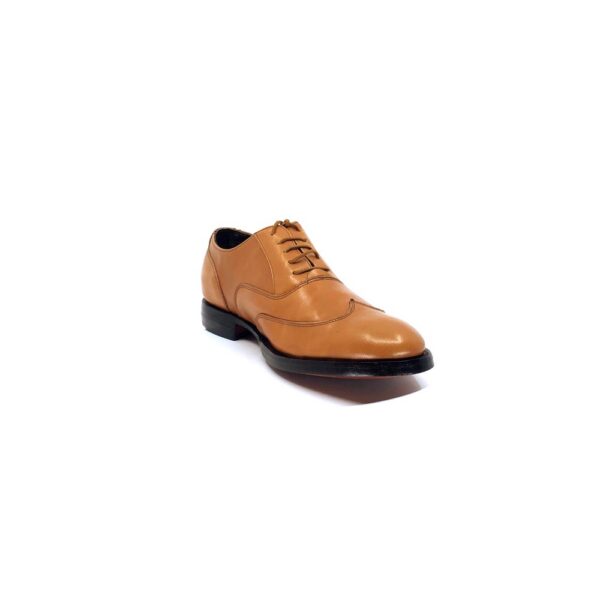 Wingtip Oxford