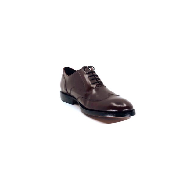 Wingtip Oxford