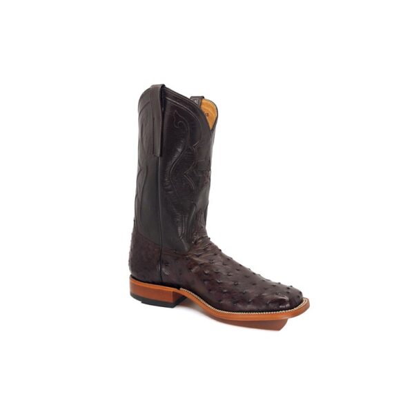 Men's Chocolate Brown Full Quill Ostrich
