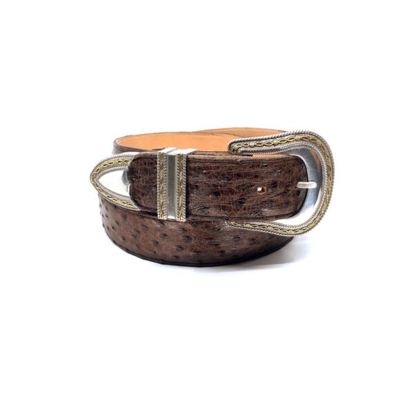 Tapered Belt