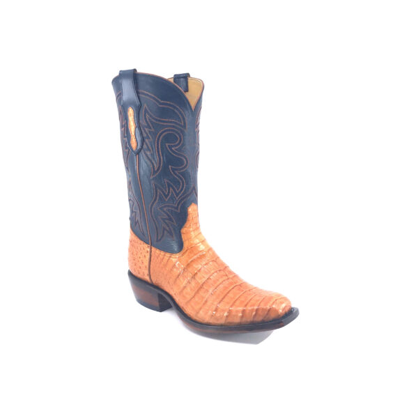 Men's Honey Caiman Belly