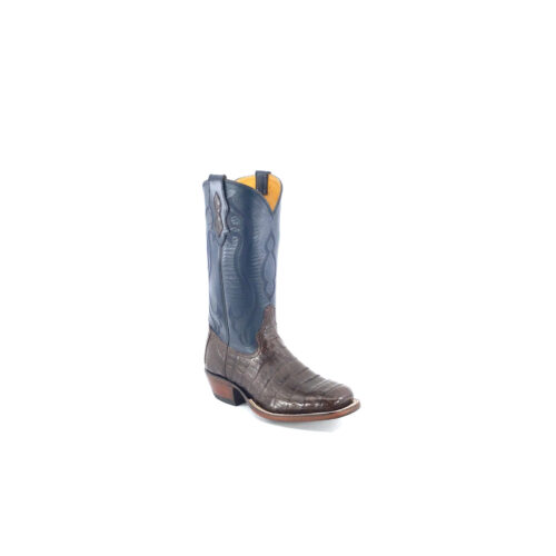 Women's Chocolate Brown Caiman Belly