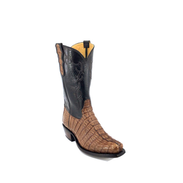 Men's Cigar Waxy Caiman Hornback