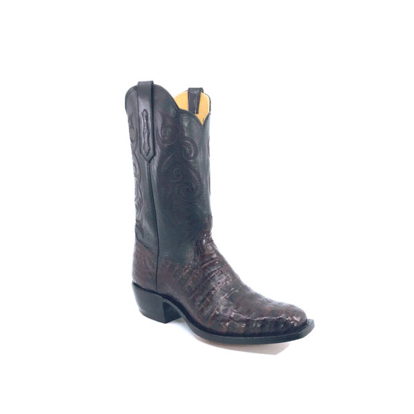 Men's Black-Cherry Caiman Belly