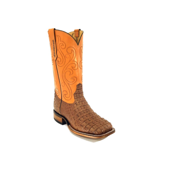 Men's Cigar Waxy Caiman Hornback