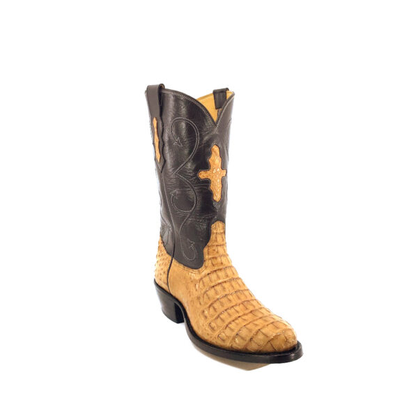 Men's Antique Saddle Caiman Hornback