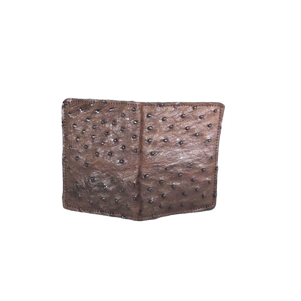 Ostrich Bi-fold card holder
