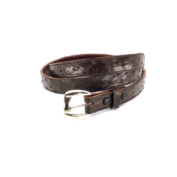 Men's Full Quill Ostrich Dress Belt