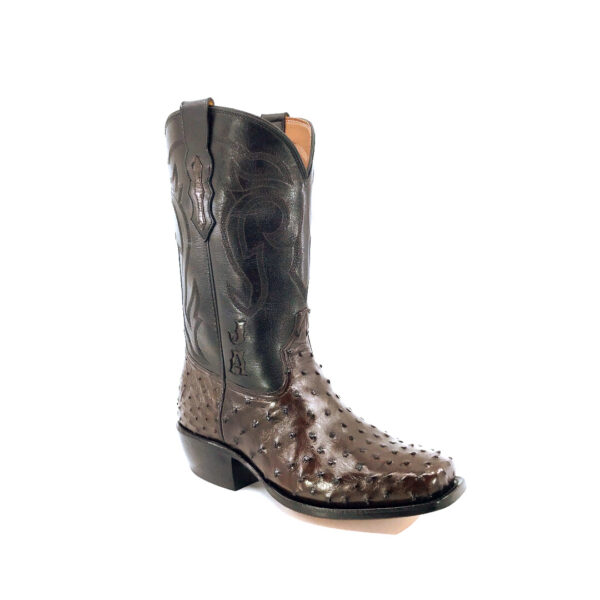 Men's Nicotine Full Quill Ostrich