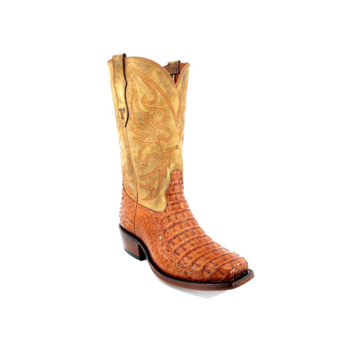 Men's Cognac Caiman Hornback