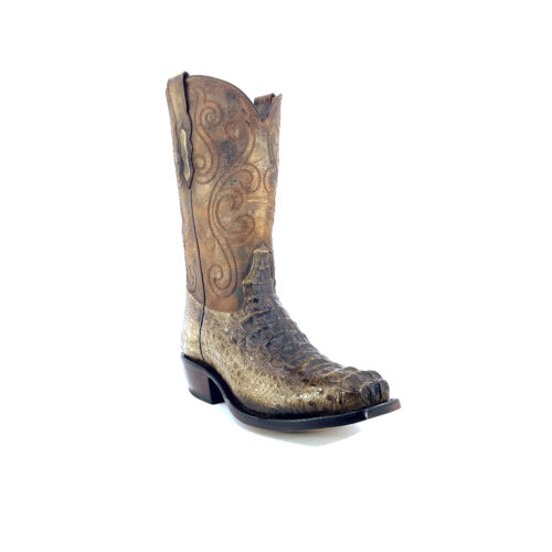 Men's Patina Caiman Hornback