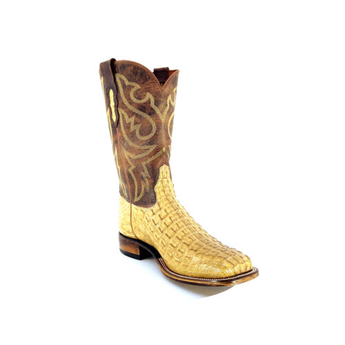 Men's Arena Caiman Hornback Tail