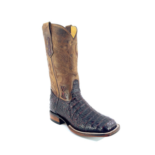 Men's Black Cherry Caiman Hornback