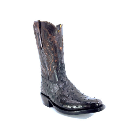 Men's Nicotine Full Quill Ostrich