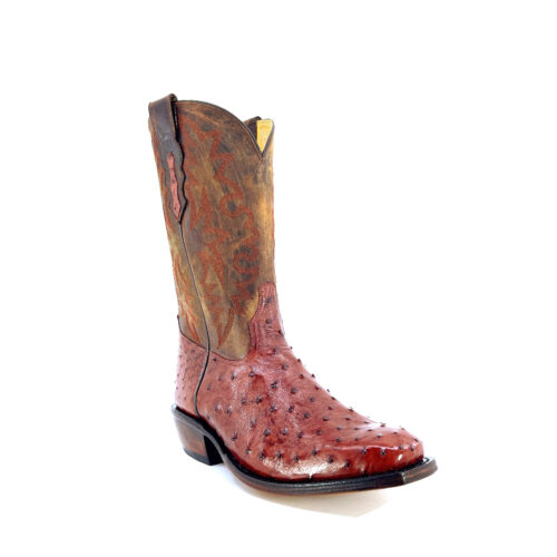 Men's Almond Full Quill Ostrich