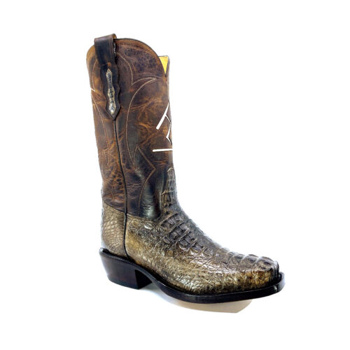 Men's Patina Caiman Hornback
