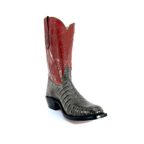 Men's Gray Caiman Belly