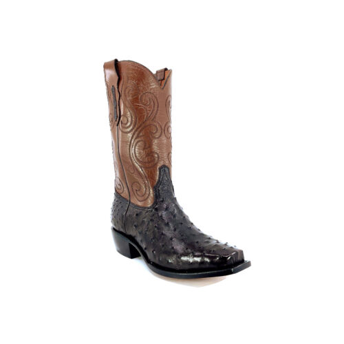 Men's Nicotine Full Quill Ostrich