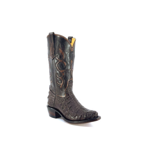 Women's Nicotine Caiman Hornback
