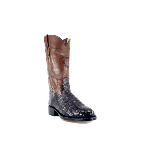 Men's Chocolate Caiman Belly
