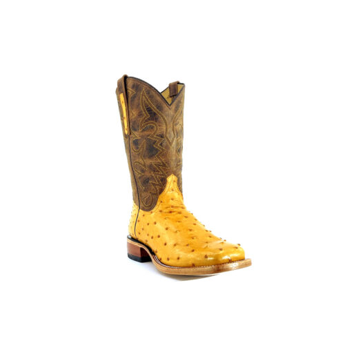 Men's Butterscotch Full Quill Ostrich