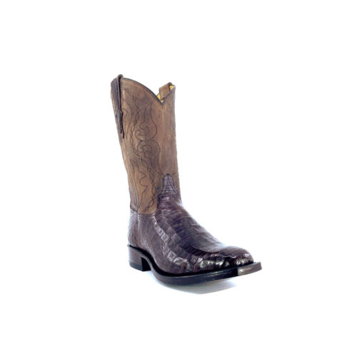 Men's Dark Brown Caiman Belly