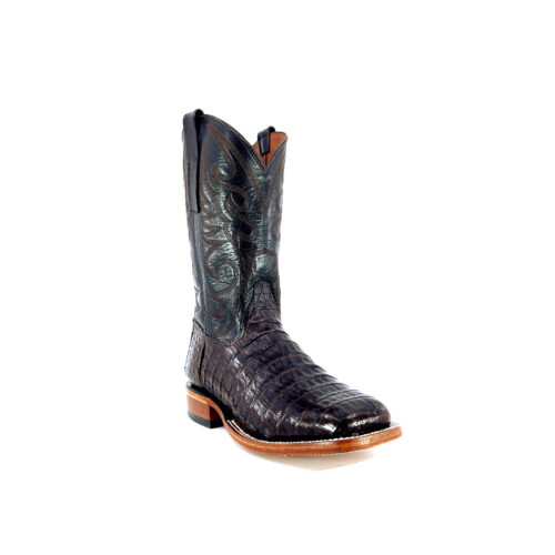 Men's Nicotine Caiman Belly