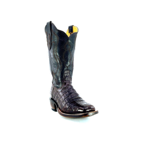 Women's Nicotine Caiman Belly