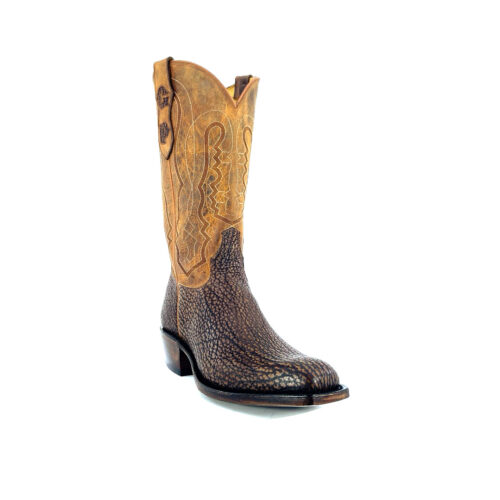 Men's Tan Shark