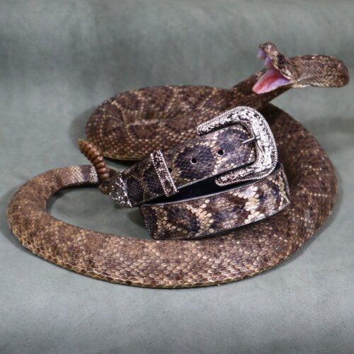 Men's Eastern Diamondback Rattlesnake Dress Belt
