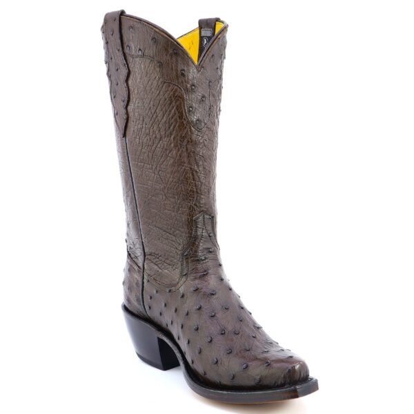 Women's Chocolate Brown Full Quill Ostrich