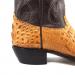 Heel-37