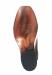 Sole-scaled-1