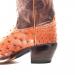 heel-28