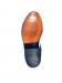 sOLE-1