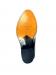 Sole-rotated-1