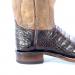 hEEL-2