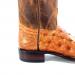 heel-10