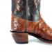 Heel-6