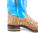 Heel